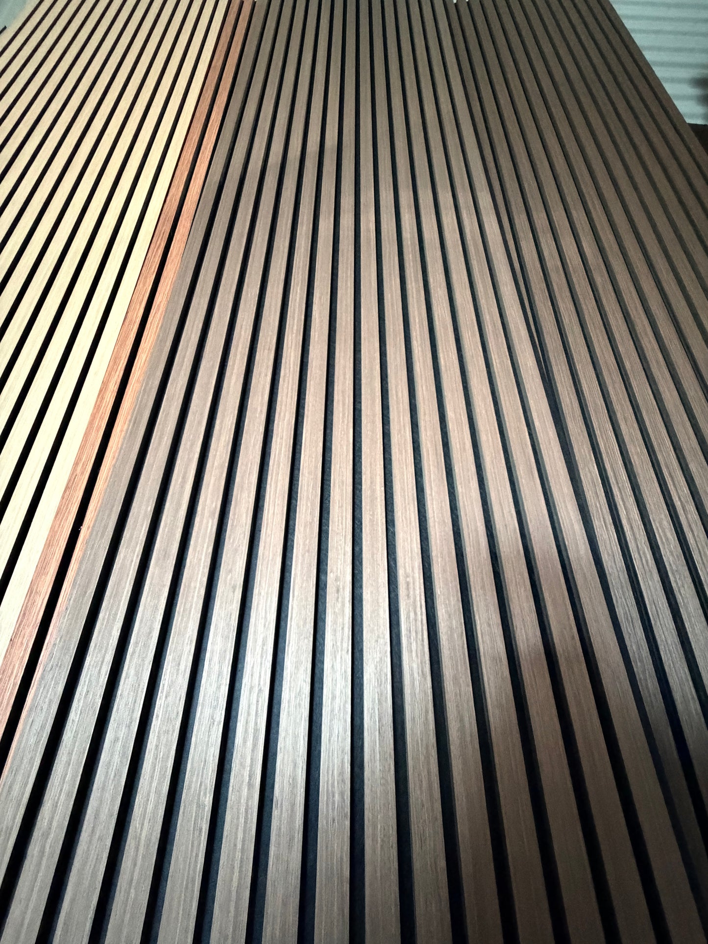 A11  2x9ft Cassia Siamea